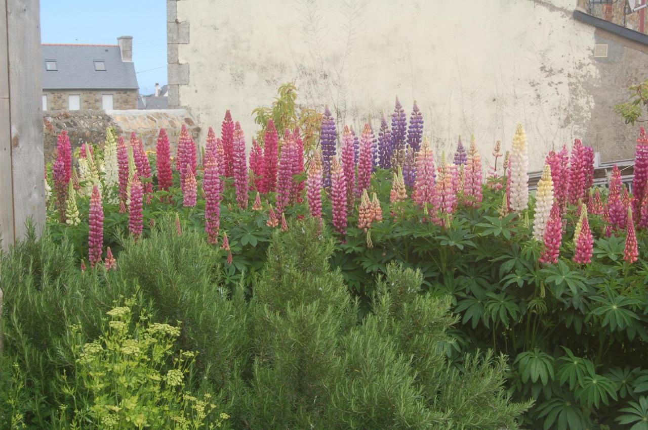 L'Abri Du Sillon Bed & Breakfast Pleubian Bagian luar foto